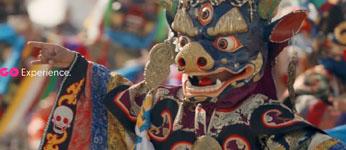 Go Mongolia