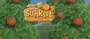 Sunkist